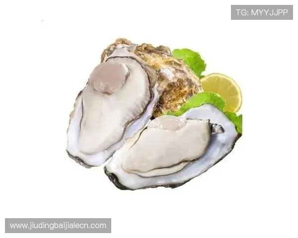 天博真人app优惠玩法介绍帮助新手快速了解优惠规则提升游戏体验